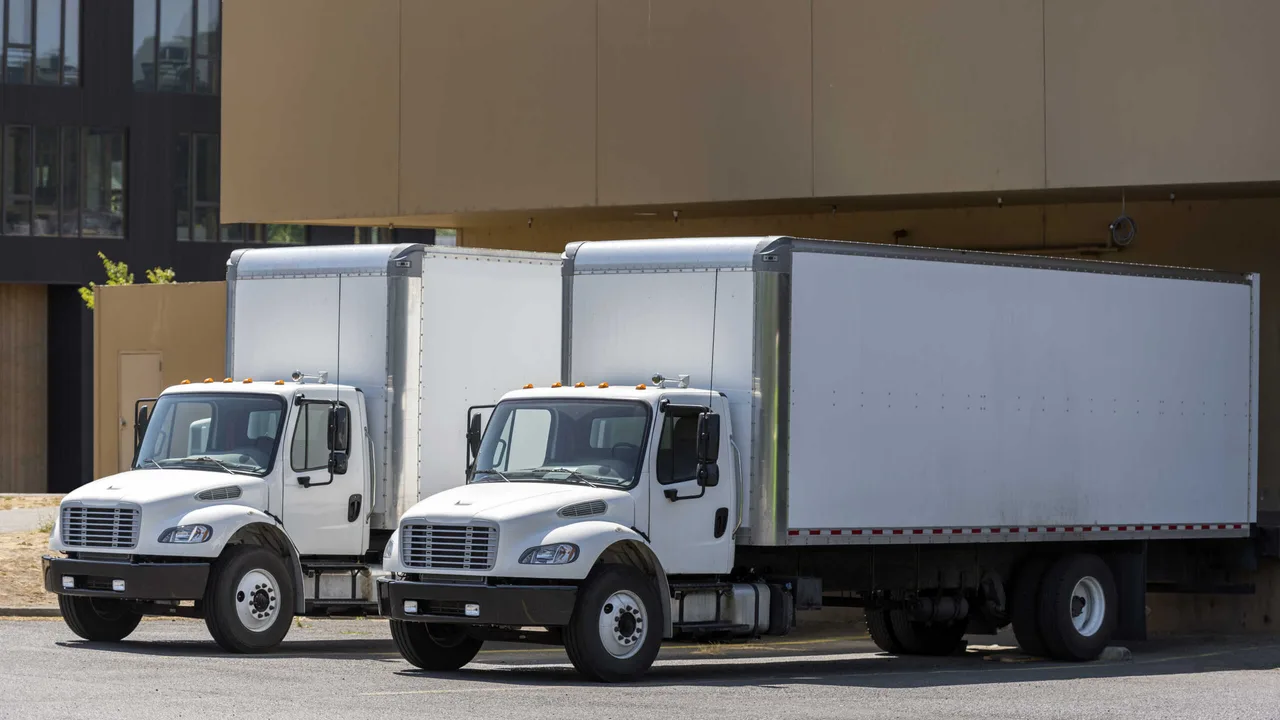 predictable delivery in B2B projects